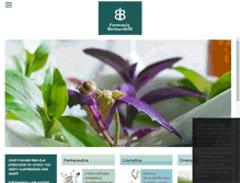 Tablet Screenshot of farmaciabernardelli.com